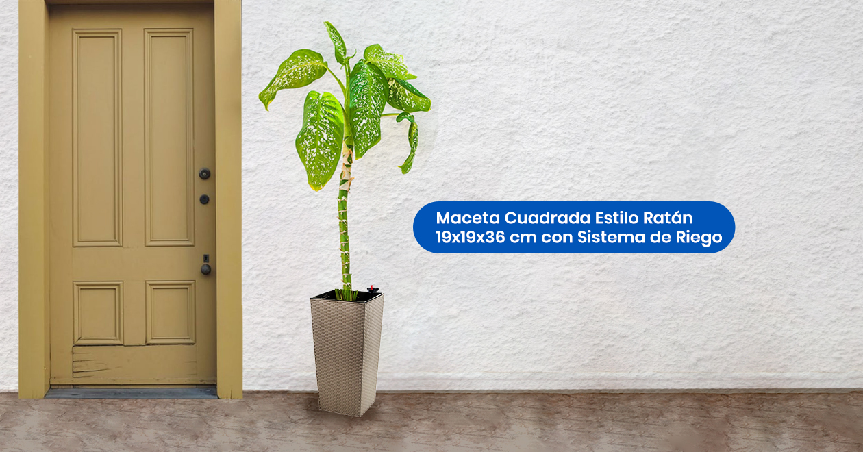 Crea-ambientes-frescos-con-plantas-altas